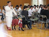 リーアムと歩く
