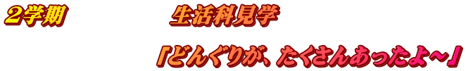 2学期　　　　　生活科見学  　　　　　　　「どんぐりが、たくさんあったよ～」