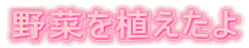 ЉȌwuwTv