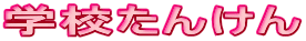 iE