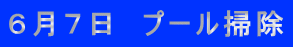 ６月７日　プール掃除