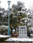 ̓̍ZP