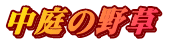̖쑐  