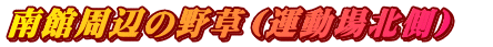 َӂ̖쑐i^kj  
