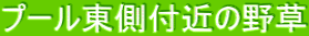 v[t߂̖쑐