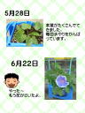 4 y[W