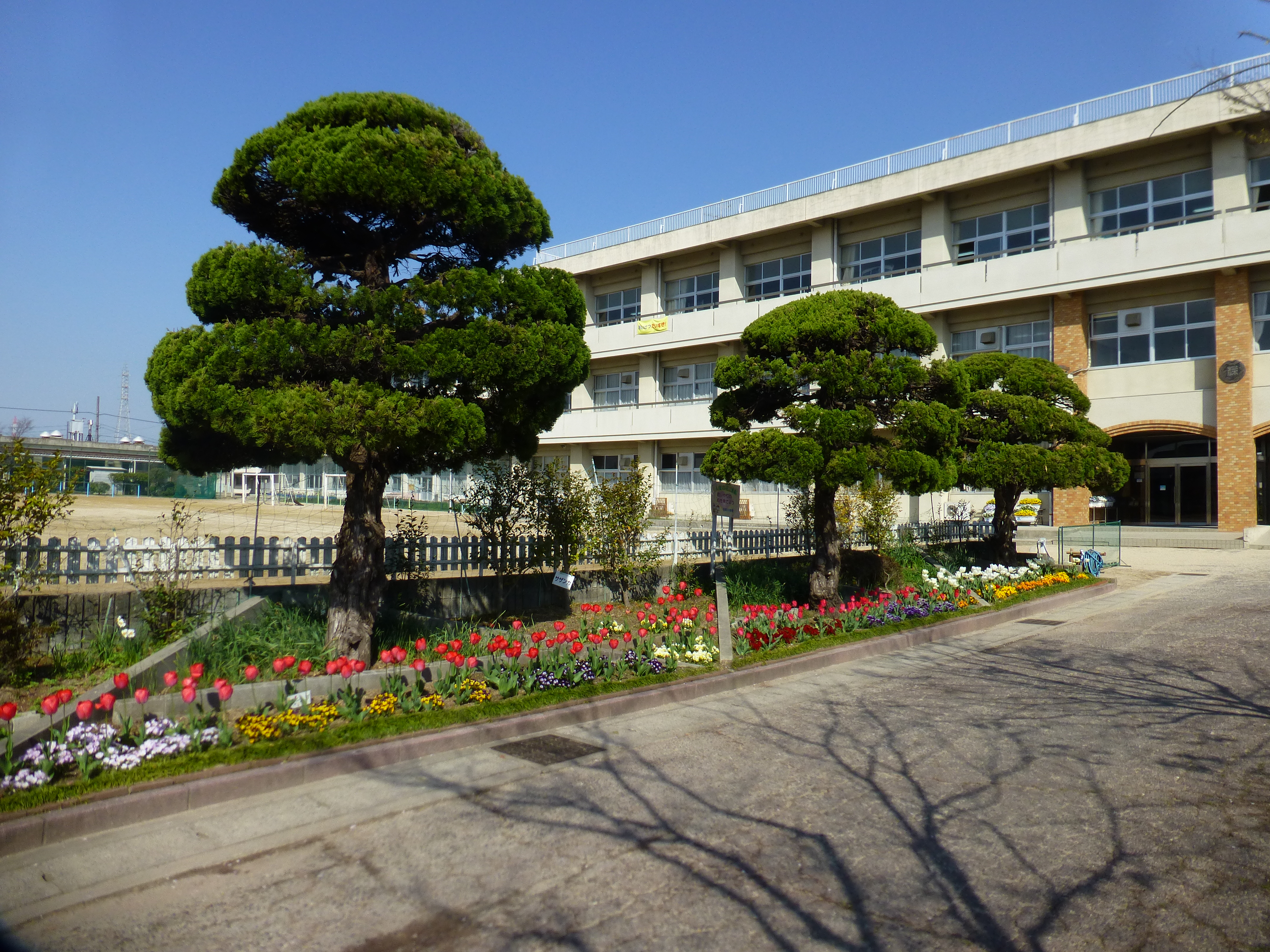 岡山市立操南小学校